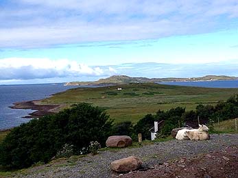 View towards Tanera Mor II, ref : 32