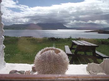 View from Tanera Mor, ref : 07