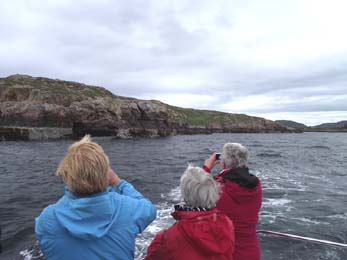 Summer Isles Sea Tours, ref : 15
